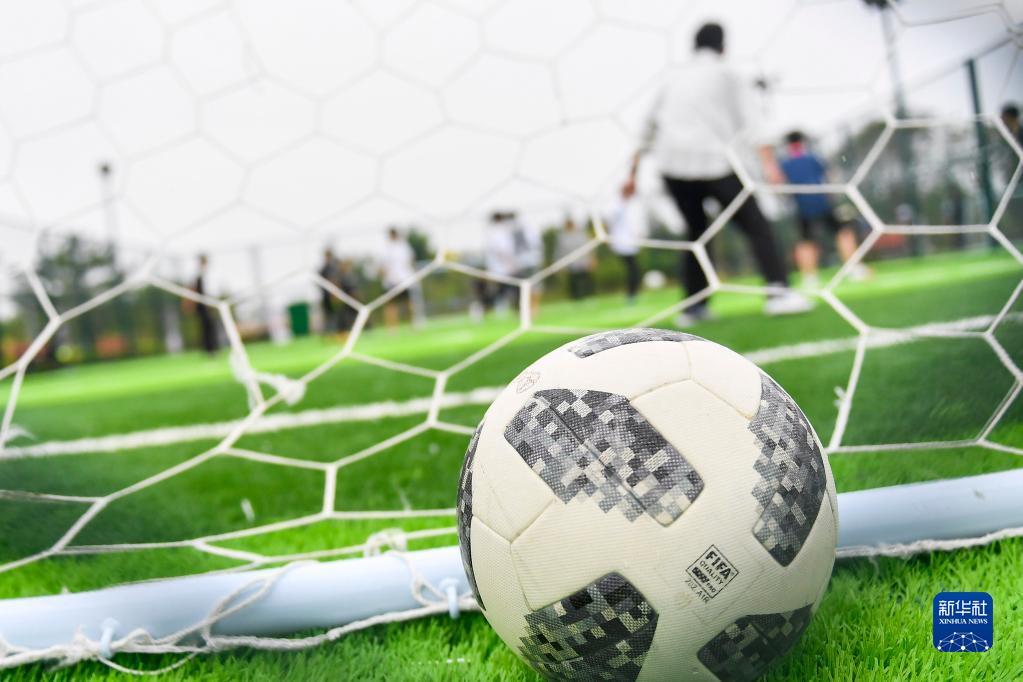 荷兰国脚 荷兰国脚