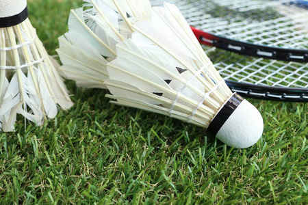 高臂展的优 高臂展的优