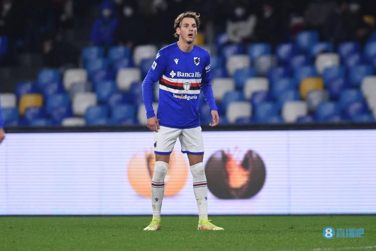 足或柔韧性 足或柔韧性